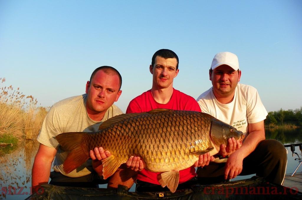 Trofeul tancabesti 2013